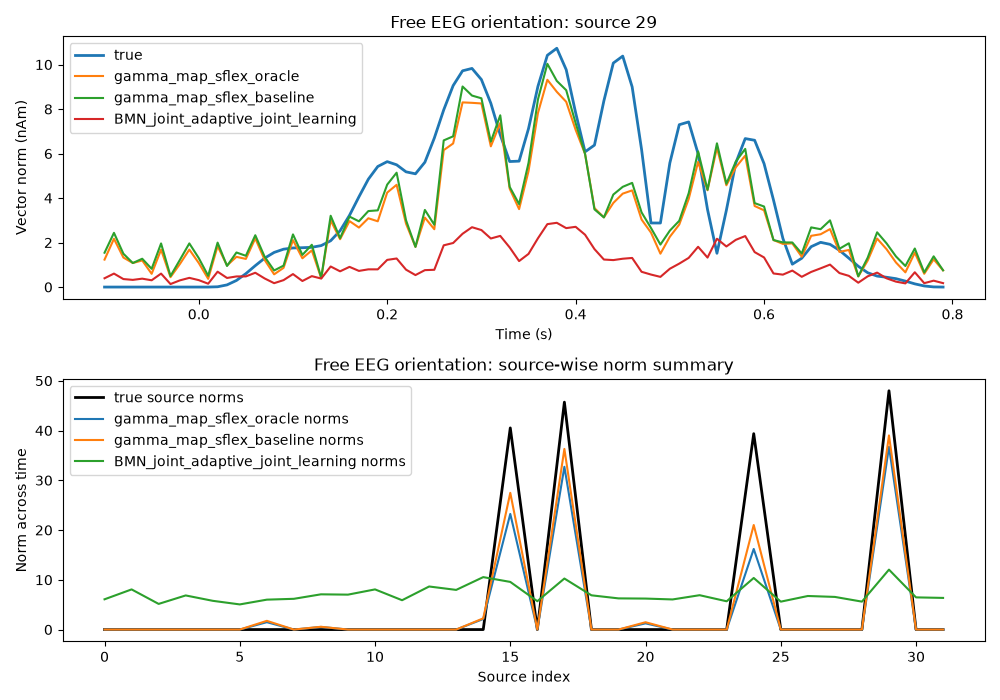 Free EEG orientation: source 29, Free EEG orientation: source-wise norm summary